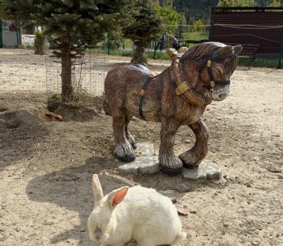 Лошадка средняя, купить в Крыму и Севастополе