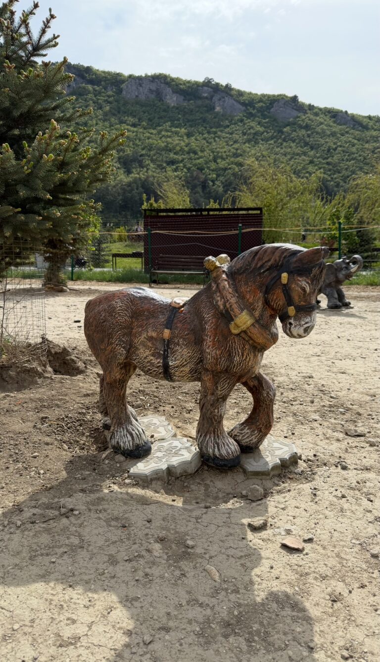 Лошадка средняя, купить в Крыму и Севастополе