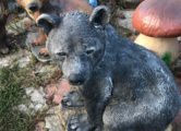 Сидячий медвежонок, купить в Крыму и Севастополе