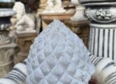 Артишок 1, купить в Крыму и Севастополе