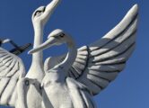 Семья аистов, купить в Крыму и Севастополе
