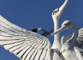 Семья аистов, купить в Крыму и Севастополе