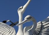 Семья аистов, купить в Крыму и Севастополе