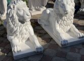 Большой Лежачий Лев, купить в Крыму и Севастополе