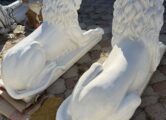 Большой Лежачий Лев, купить в Крыму и Севастополе