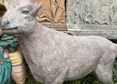 Горный козёл, купить в Крыму и Севастополе