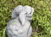 Маленький кролик, купить в Крыму и Севастополе